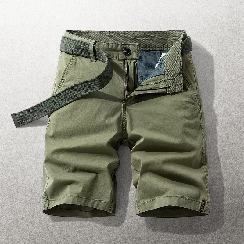 The Hudson Chino Shorts