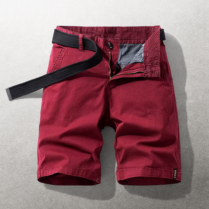 The Hudson Chino Shorts