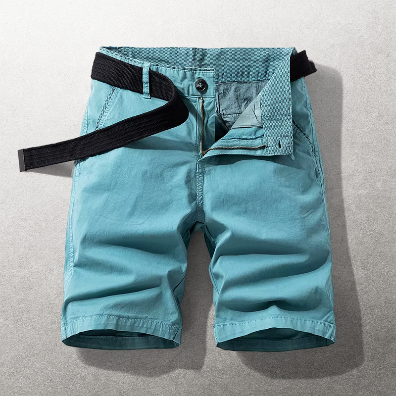 The Hudson Chino Shorts